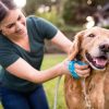 Dog Bathing and Grooming Brush