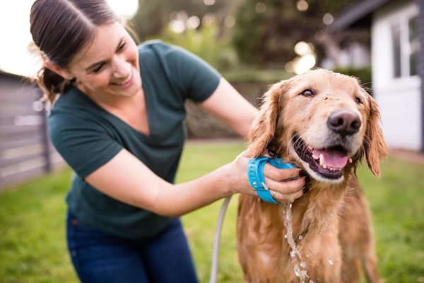 Dog Bathing and Grooming Brush